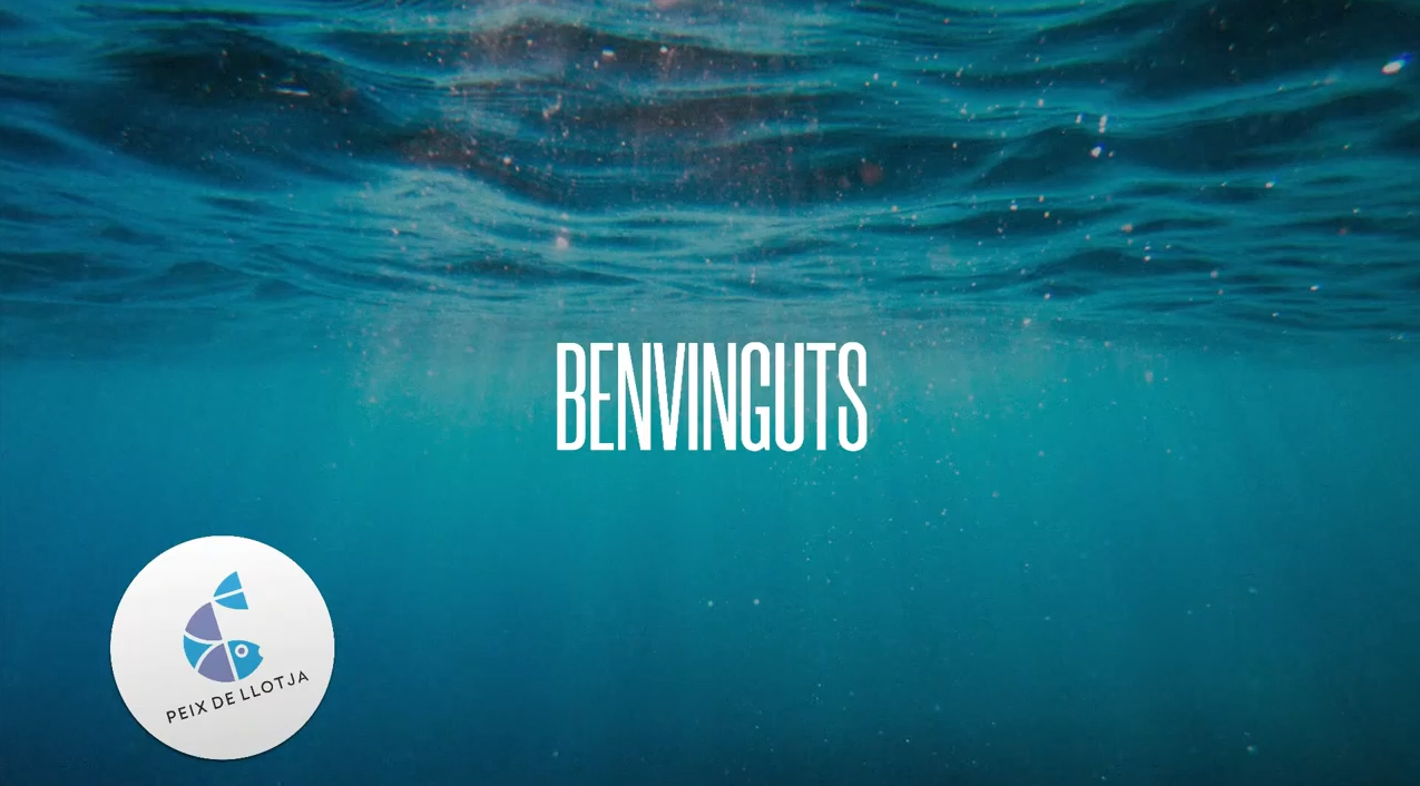 peix_de_llotja_transmision